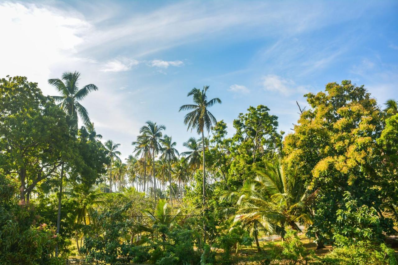 Janu Homestay Tangalle Exteriör bild